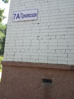 В Архиве закрыли продухи, помешали кошка с котятами
