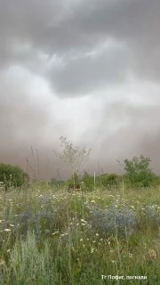 Пылевая буря у Энгельса: видео и очевидцы