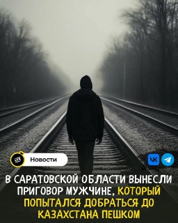 Суд в Саратовской области осудил мужчину за попытку перейти границу пешком