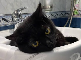 В Саратове в августе отключат горячую воду в трёх районах из-за гидравлических испытаний