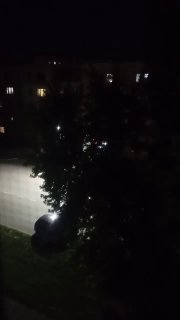 Ночные беспорядки и нелегальный алкоголь: проблема района Шевченко