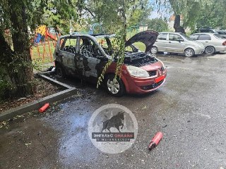 Пожар у детской площадки в Энгельсе уничтожил автомобиль