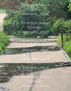Вонь и проблемы с канализацией у гимназии: родители требуют действий